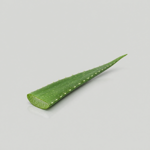 Aloe Juice