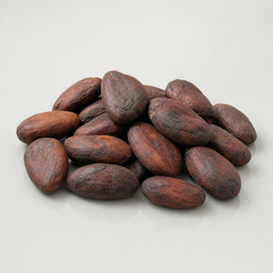 Cocoa Seed Butter