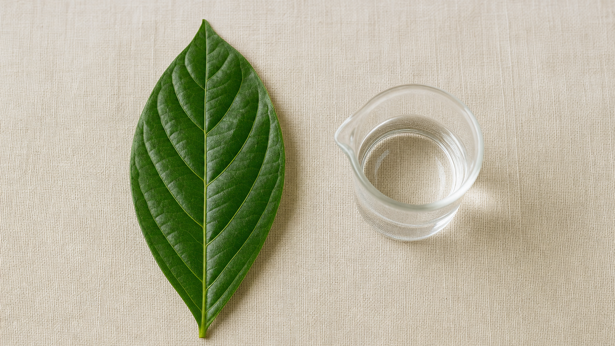 A leaf and a glass vessel, given equal weight