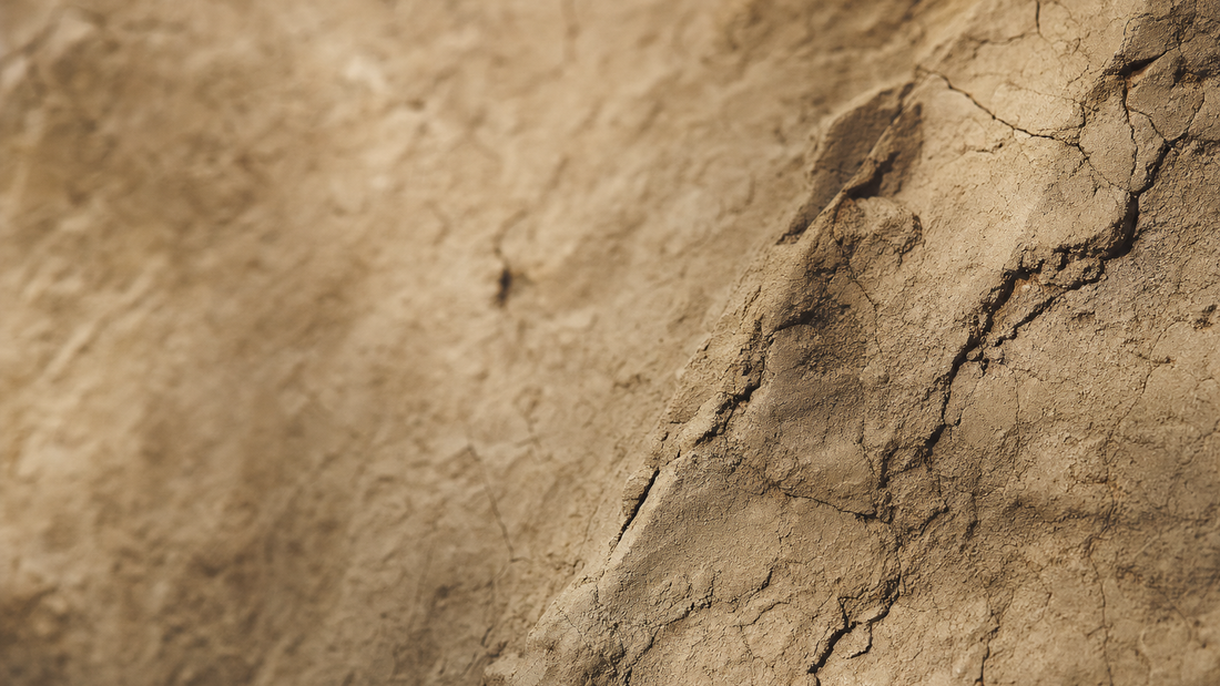 Close-up of naturally cracked, parched stone texture in warm raking light, evoking dry, thirsty skin
