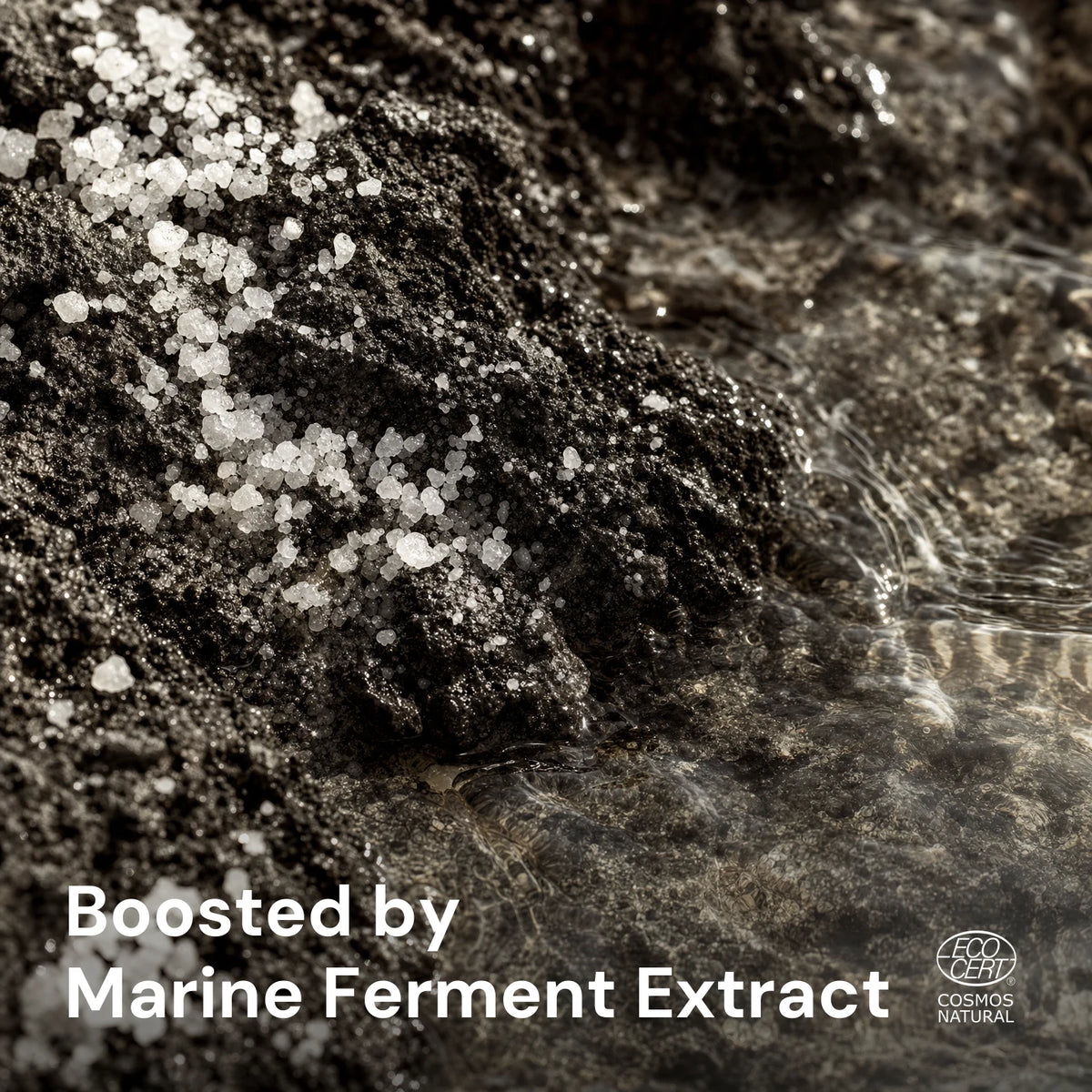 Marine Hydration Day Cream – key ingredients