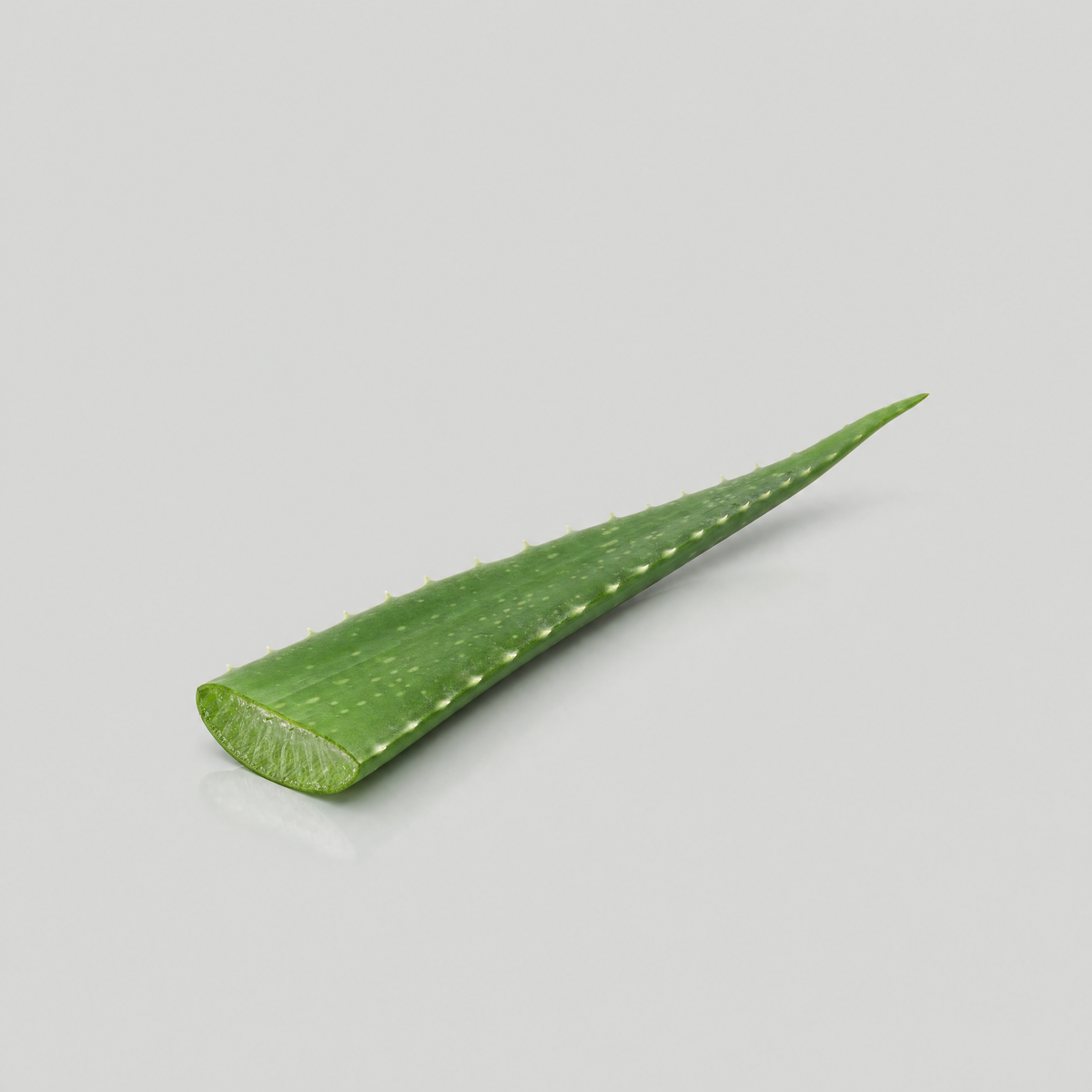 Aloe Juice