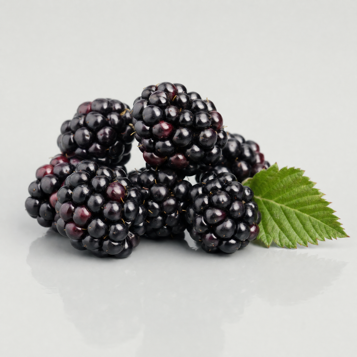 Blackberry Fruit Extract