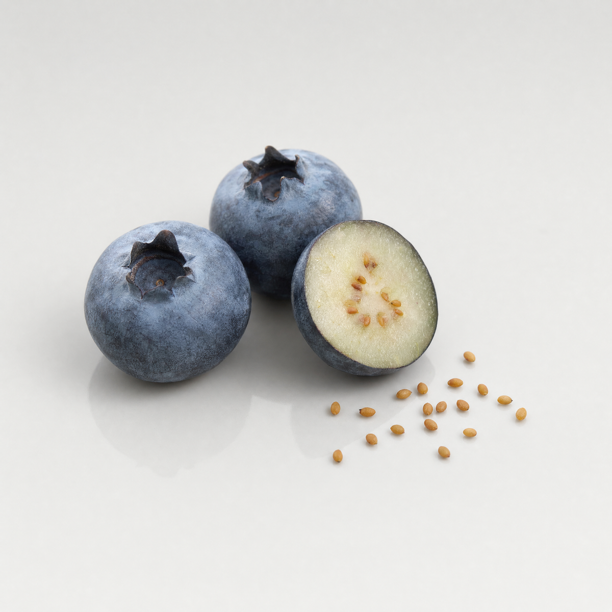 Blueberry Seed Oil