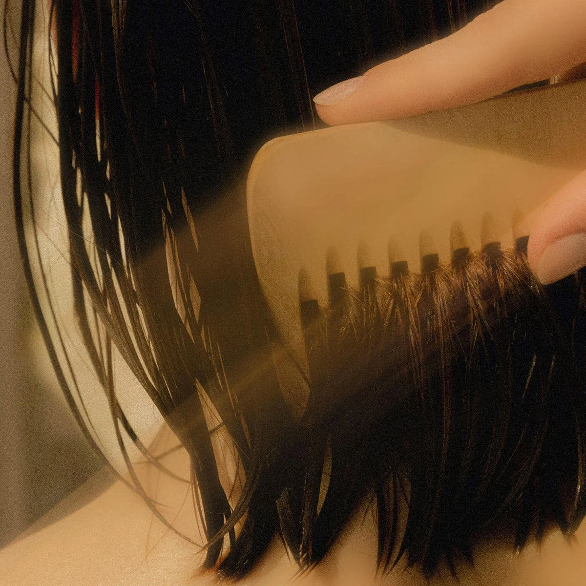 Purifying Shampoo with Sea Kale Extract – in use