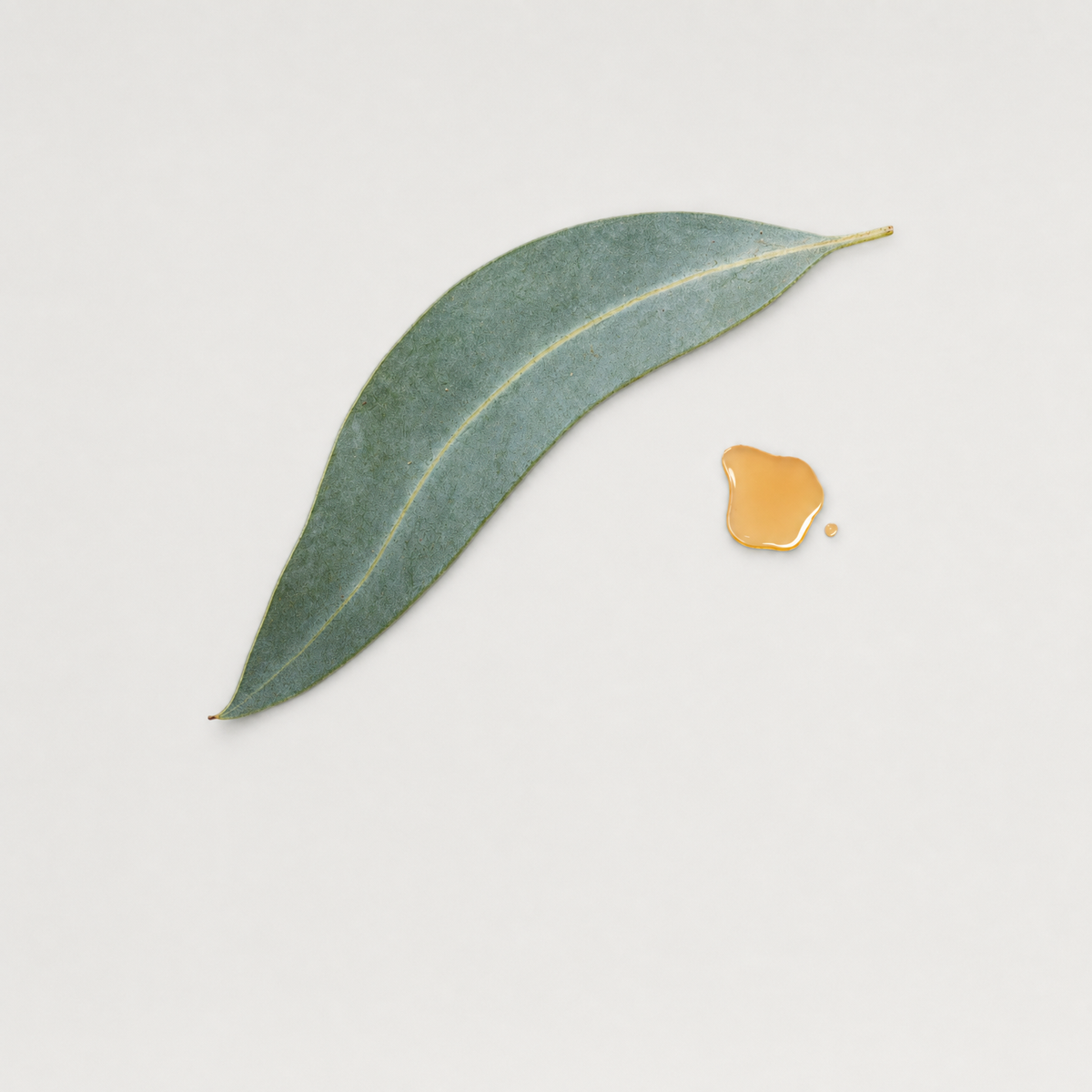 Eucalyptus Oil