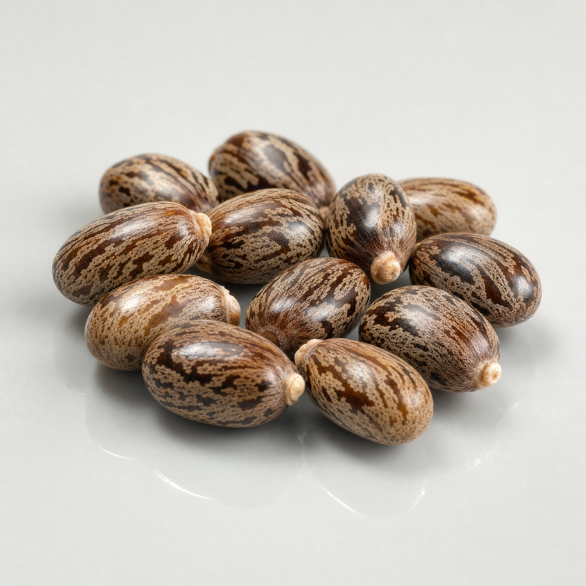 A cluster of mottled brown castor seeds