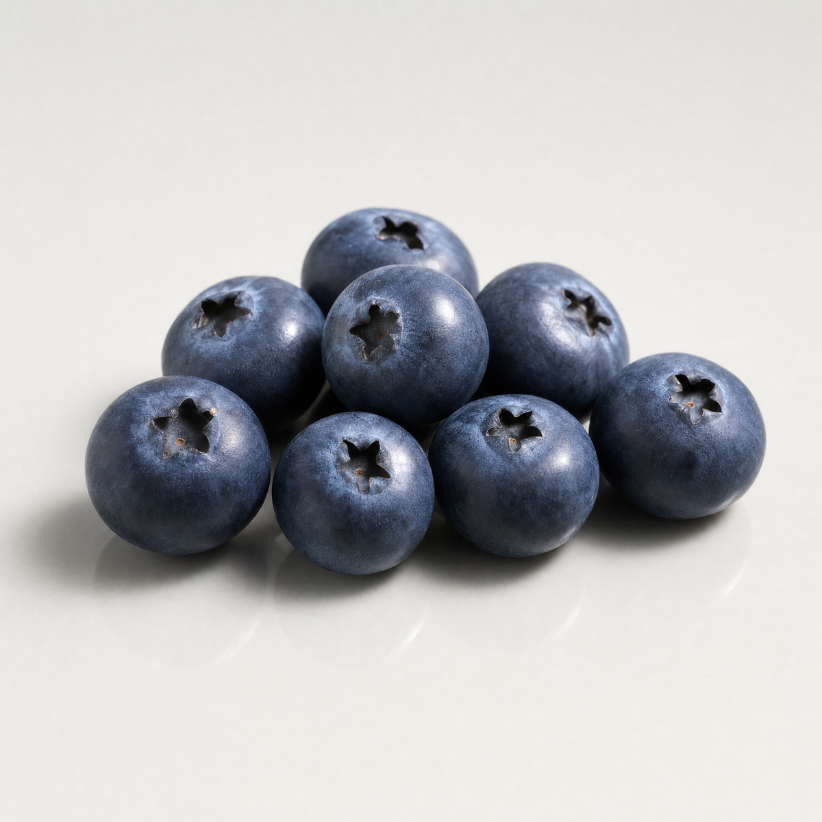 blueberry — on-brand ingredient render