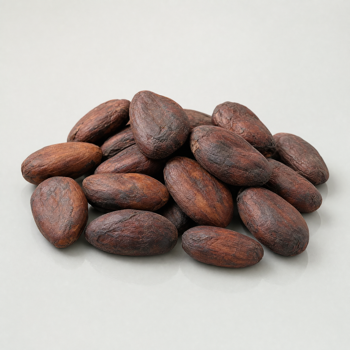 cocoa-seed — on-brand ingredient render