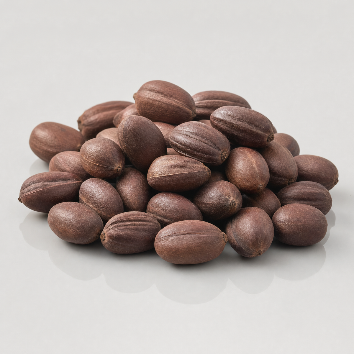 jojoba — on-brand ingredient render