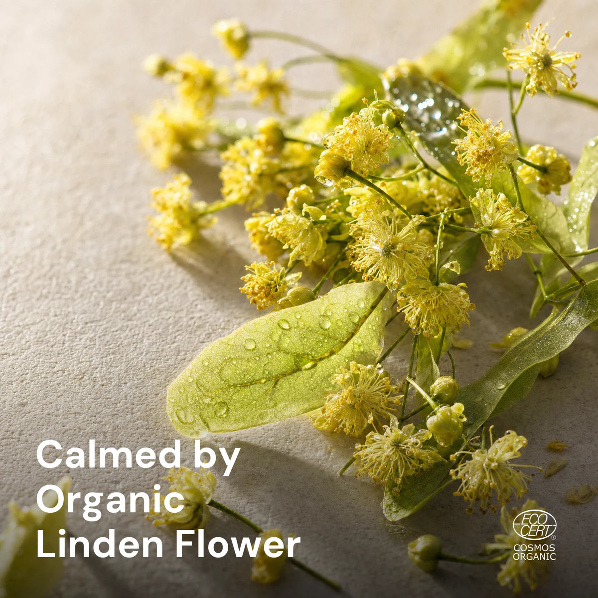 Linden Flower Micellar Water – key ingredients