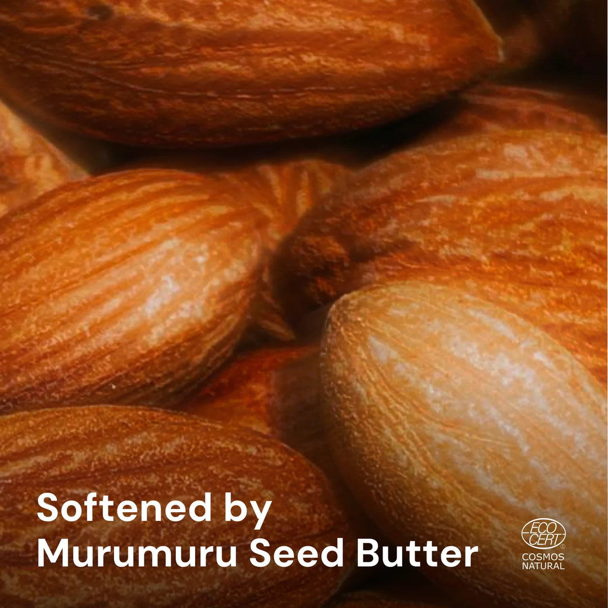 Murumuru seeds, softened by murumuru seed butter