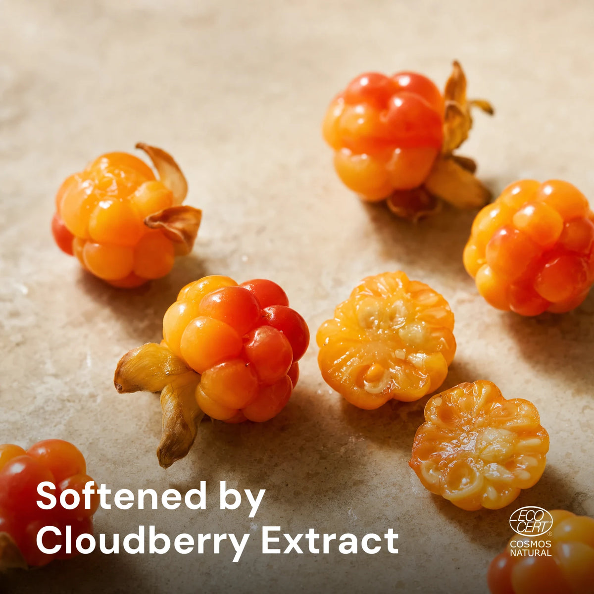 Cloudberry Velvet Night Cream – key ingredients