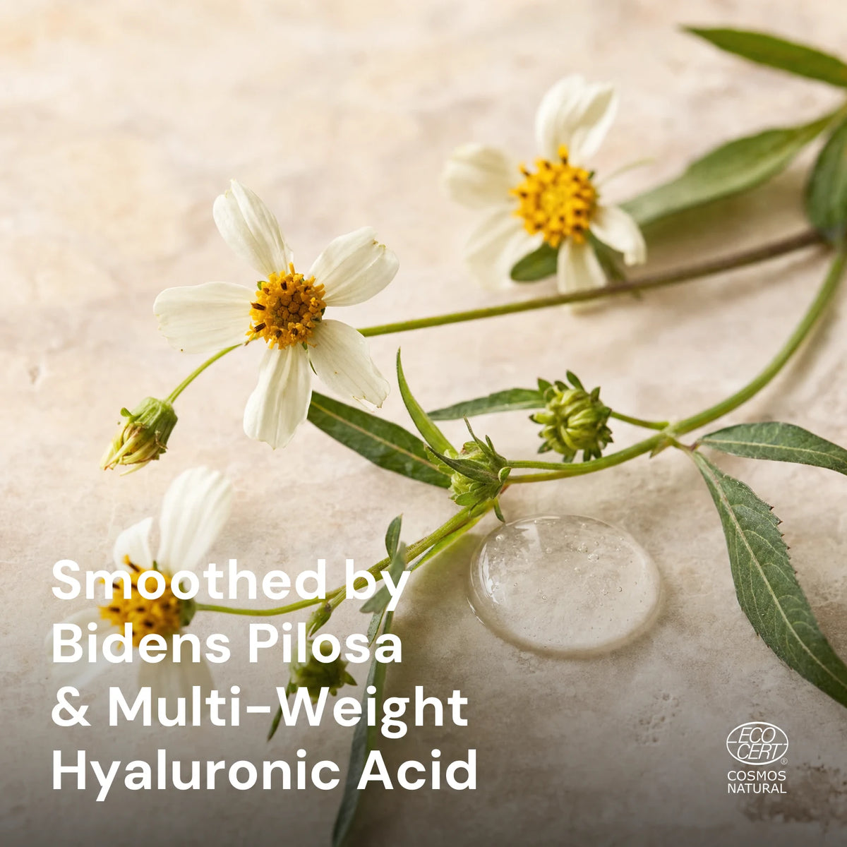 Phyto-Retinol Refining Moisturiser – key ingredients