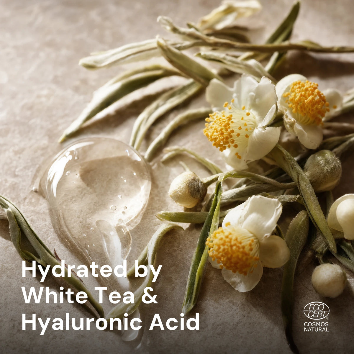 White Tea Hydration Gel – key ingredients
