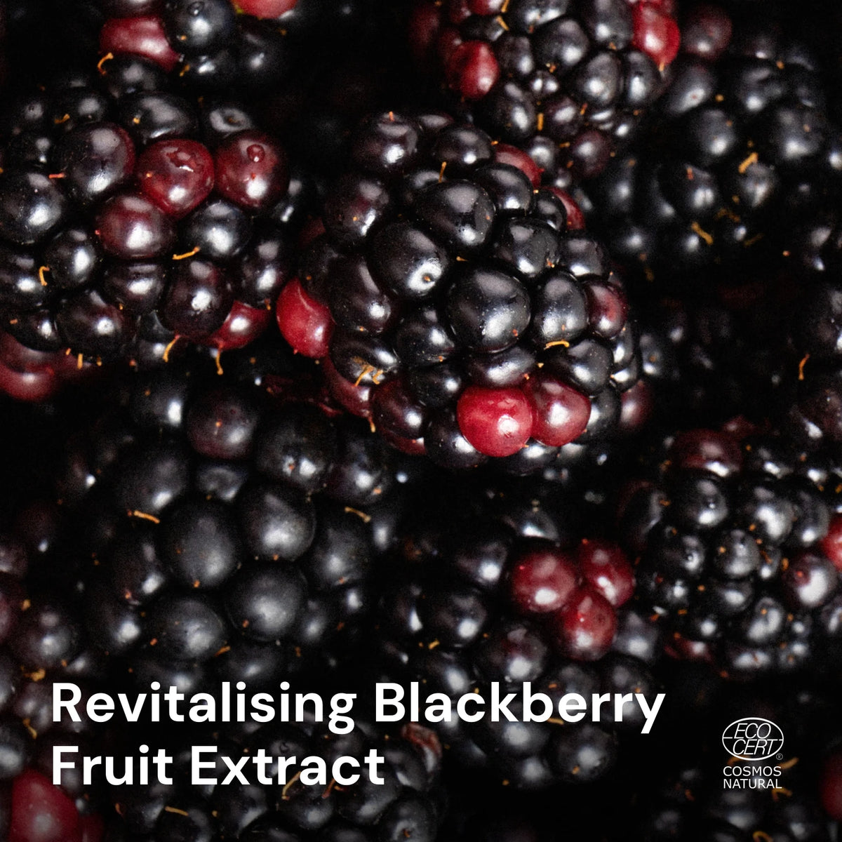 Blackberry Luminous Facial Cleanser – key ingredients