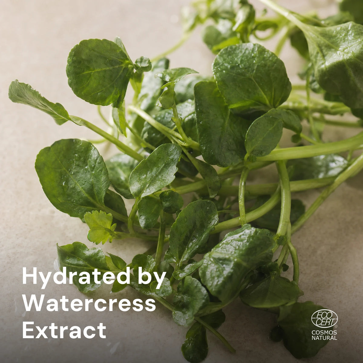 Weightless Hydration Gel – key ingredients