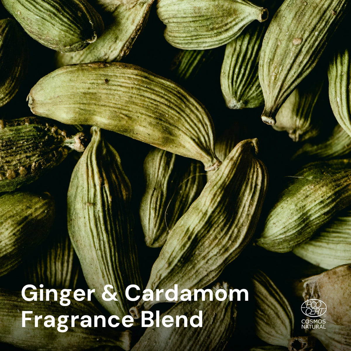 Fresh ginger root and fresh cardamom pods and seeds on stone