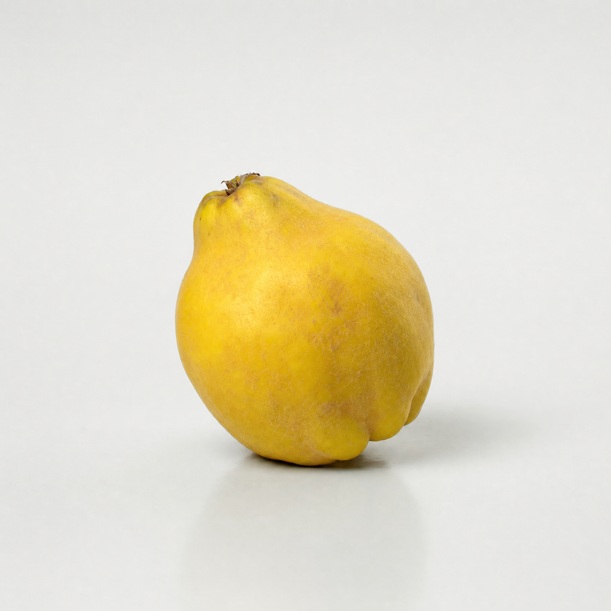 Quince Extract