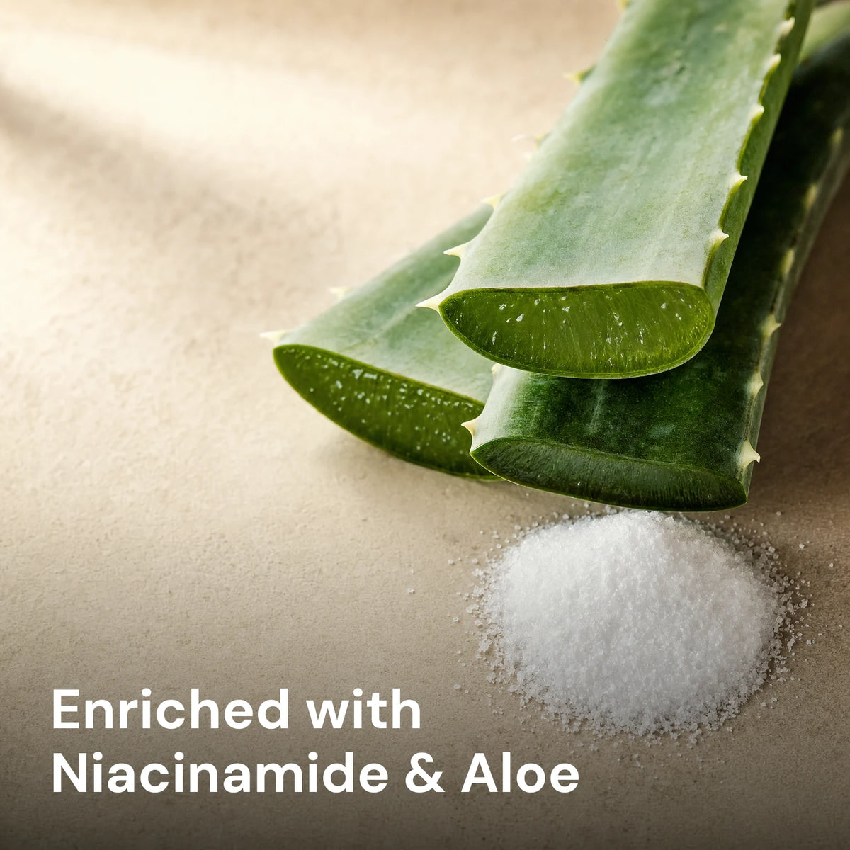 Fresh aloe vera leaves with a small mound of white niacinamide powder, captioned Enriched with Niacinamide & Aloe