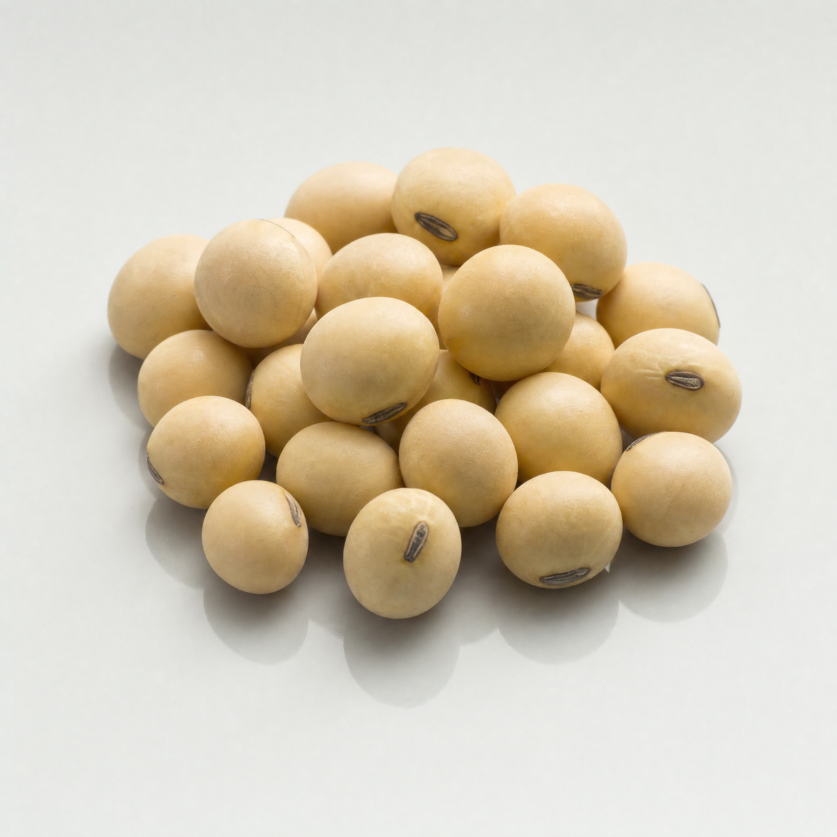 Soy Wax