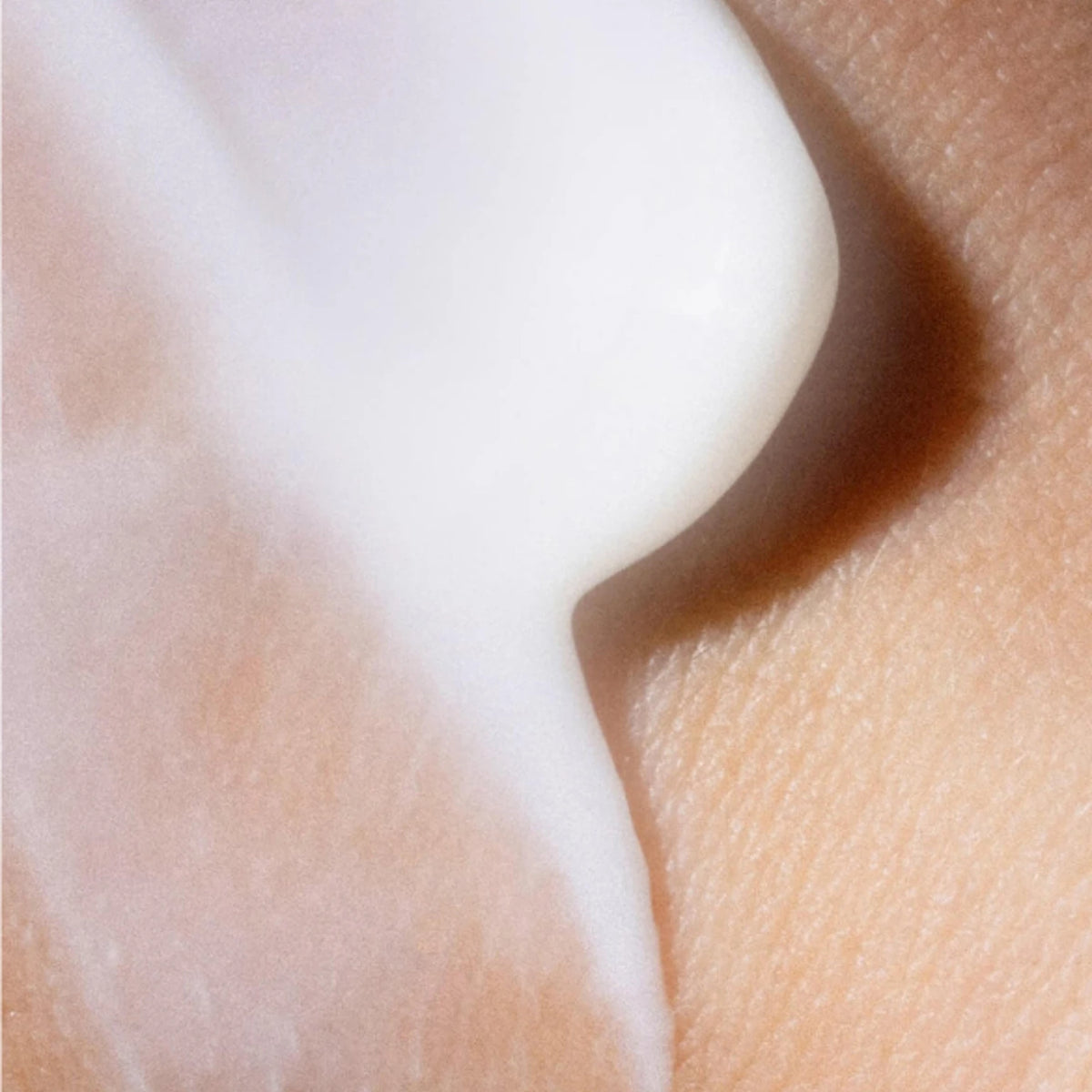 Jojoba Silk Day Cream – texture close-up