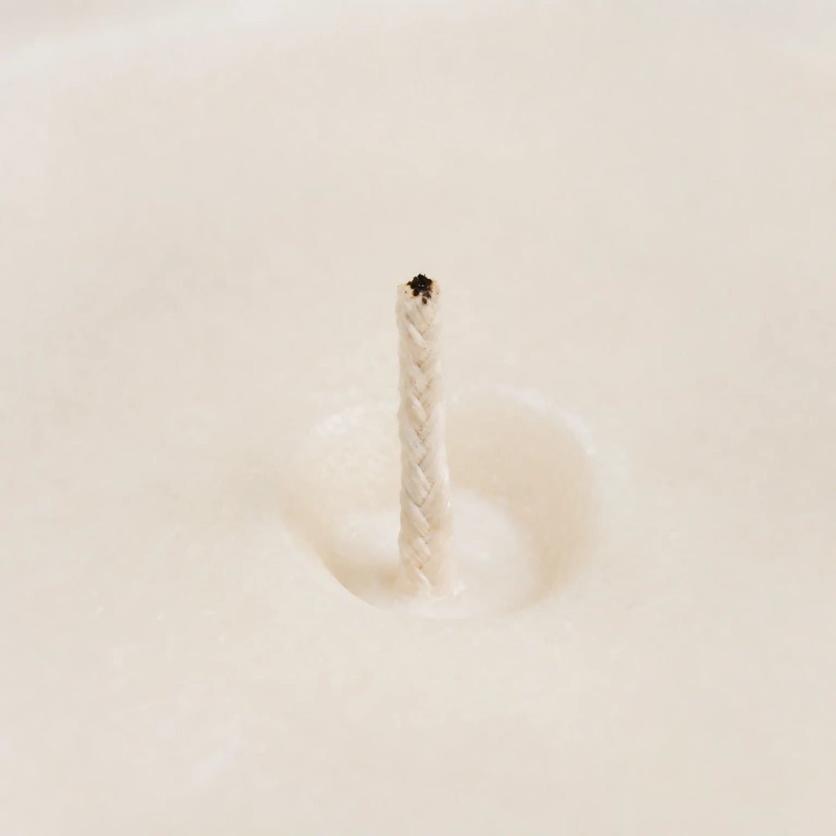 Enrichment Botanical Soy Wax Candle - close-up of the soy wax and cotton wick