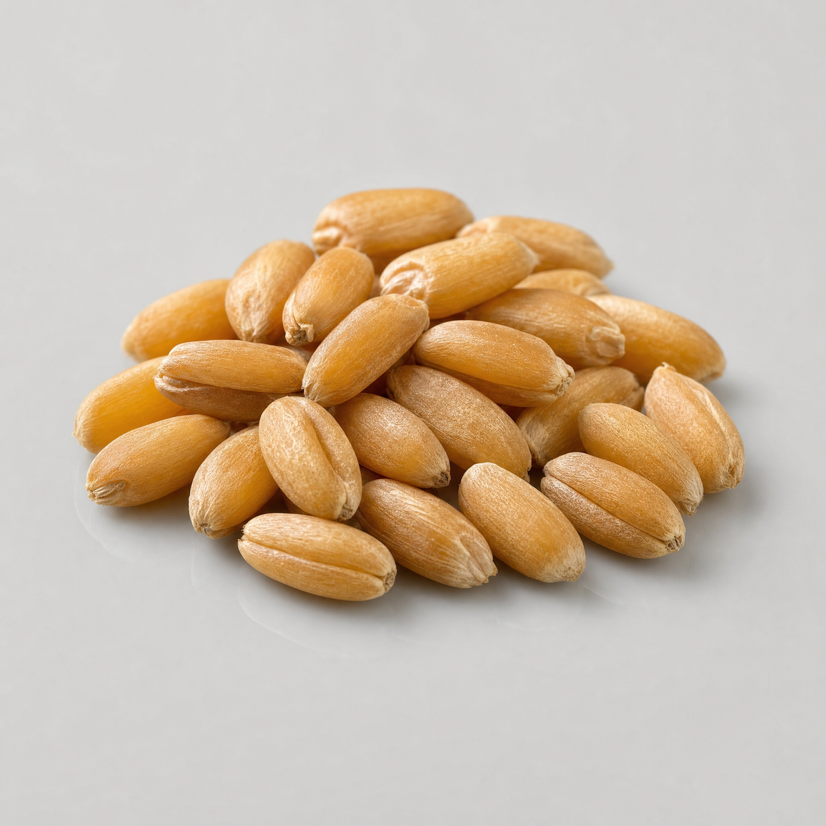 Hydrolysed Wheat Protein
